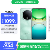 vivo Y300 8GB+256GB 青松 国家补贴 新一代超级扬声器 6500mAh超薄蓝海电池 超抗摔护眼直屏 AI手机