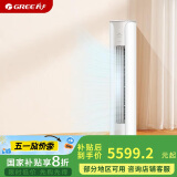 格力（GREE）2匹 京畅 新一级能效 变频冷暖 净菌自洁 立柜式空调柜机 KFR-50LW/(50587)FNhAc-B1(JDWIFI)