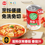 屯河番茄丁390g*12罐 【26年8月新货】0添加剂西红柿块番茄酱番茄罐头