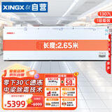 星星卧式单温冰柜商用冰柜全冷冻冷藏保鲜速冻柜大容量大型冷柜一级能效冰箱BD/BC-1398GE