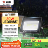 公牛（BULL）LED投光灯户外庭院工厂园林灯露营灯 IP65防水等级30W-6500K白光