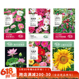 寿禾 花种子苗组合四季可种植格桑花盆栽种植花卉种籽 6种花种子大全