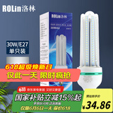 洛林（ROlin）led灯泡节能灯泡 e27大螺口家用商用大功率光源 30W白光