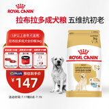 皇家狗粮 拉布拉多老年犬狗粮 宠物大型犬 SLR30 全价犬粮≥5岁 3KG