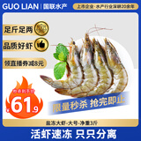 GUO LIAN国联生鲜盐冻大虾 去冰净重3斤 73-90只 盒装活冻 海鲜海产冷冻虾
