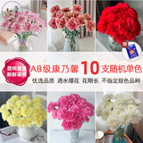 悦多彩优质水养鲜切花 母亲节三八节花束 昆明基地现采直发顺丰生活鲜花 康乃馨（随机色）10支