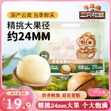 三只松鼠夏威夷果500g/袋 坚果炒货量贩干果约24mm休闲零食送礼 