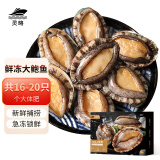 灵略 鲜冻大鲍鱼 净重450g 16-20粒袋装 鲍鱼火锅烧烤  贝类海鲜 生鲜