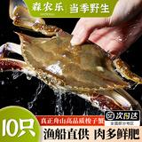 舟山梭子蟹鲜活特大野生大螃蟹新鲜冷冻海鲜水产海蟹飞蟹白蟹顺丰 净重3-4两/只【10只 精品野生】