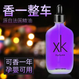 佳迪乐车载香水补充液男士高档车用精油持久淡香车内挂件古龙女汽车香薰 【香奈】100ML（淡香）妇婴可用