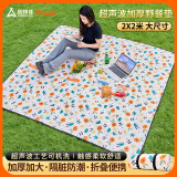 尚烤佳（Suncojia）户外野餐垫 公园帐篷防潮垫 超声波可机洗地垫200*200cm