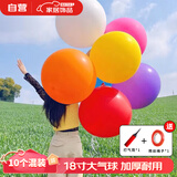 光多拉18寸超大气球儿童户外加厚彩色大号气球公园草地防爆拍拍球10个装