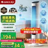 格力（GREE）【风柔音轻】定时塔扇家用节能电风扇远柔风无叶风扇摇头落地扇母婴扇遥控塔扇 FL-08X61Bg