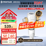 滨特尔（pentair）前置过滤器大通量家用全屋自来水管道40μm过滤器9吨/H大流量水驱涡轮+反冲洗刮洗净水器 【升级9T/H】S160前置过滤器
