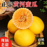 金百粟黄金蜜瓜 新鲜头茬甘肃沙漠黄河蜜瓜哈密甜瓜果整箱时令水果生鲜 黄金蜜瓜净重4.5斤【2-4枚装】