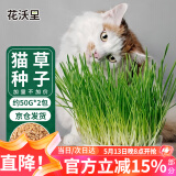 花沃里猫草种子50g*2包小麦草籽 花种子水培盆栽土太阳花卉种子阳台庭院