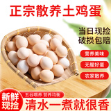 云依禾农庄 新鲜现捡土鸡蛋谷物虫草柴鸡蛋  粉皮散养草鸡蛋鲜鸡蛋 15枚