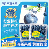 爱鲜摘农场 辽宁丹东花香蓝莓【JD顺丰-多地次日达】新鲜水果礼盒送礼物品 【80%选择】精品果丨单果18mm+ 6盒【畅吃-超划算】单盒/125g