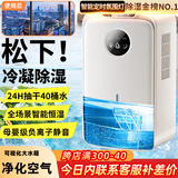 NIYEVN【200平全屋除湿丨40L水回南天】除湿机家用抽湿机补贴20%除湿器广东工业干燥烘干机小型米吸湿 60L/天 尊享除湿丨冷凝50倍强效丨AI屏显定时