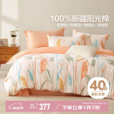 博洋家纺床上用品四件套纯棉被套床单100%棉套件全棉被罩1.8米床