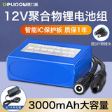 德力普（Delipow）12v锂电池大容量锂离子聚合物锂电池组带显示屏移动电源太阳能灯音响监控设备24V可充电方形电池 12V 3000毫安【送1A充电器】