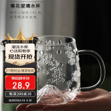 唯铭诺玻璃水杯马克杯女士家用花茶杯带把手耐热咖啡杯子观山底雪花杯