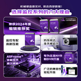 西部数据（WD）2TB 监控级机械硬盘 WD Purple 西数紫盘 SATA 64MB CMR垂直 安防存储 3.5英寸 WD23PURZ
