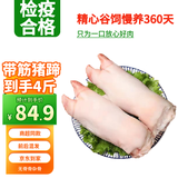 盛怡菲达 猪肋排 新鲜猪排骨净重4斤 无脊骨杂骨 红烧排骨冷冻猪肉生鲜 4只约4斤（断骨连肉）整只猪蹄 精选土猪排骨