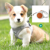 PEITE PET狗绳宠物狗狗牵引绳小型犬小狗幼犬遛狗绳胸背带可伸缩自动牵引绳 灰色【顶配自动牵引绳】 S-小号 (适合3-6斤宠物)