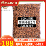 长白山青松邑 东北新鲜生松子 新货野生大颗粒未加工 松鼠粮食 大颗粒(净重5斤)