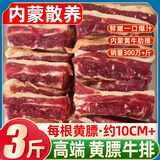 柒岛【销量300万】内蒙古黄膘牛排 牛肋条黄牛肉牛肋排牛仔骨新鲜牛肉 黄膘牛排净重3斤 每根约10厘米