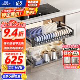 悍高（HIGOLD） 厨房橱柜拉篮碗架抽屉式碗篮加厚304不锈钢底板调味篮双层碗碟篮 850柜2层-L系列套装