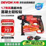 大有（Devon）20V锂电锤充电电锤两用电镐冲击钻混凝土工业级DRH单电5.0