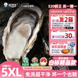 贝司令（BEISILING）【鲜活】乳山生态生蚝牡蛎贝类烧烤源头直发5XL净重9斤 17-19只装