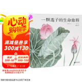 一颗莲子的生命旅程 原创植物科普绘本，以国画绘出莲的生命轮回 国风情怀 中国传统 自然之美 5-10岁浪花朵朵  