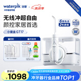 洁碧（Waterpik）冲牙器家用台式洗牙器水牙线洁牙器家用预防牙结石小魔盒GT17-12白礼物牙齿冲洗器