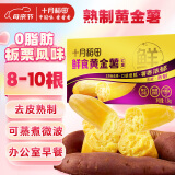 十月稻田 鲜食黄金薯 3斤 玛莎莉红薯 番薯 地瓜 板栗红薯 熟制即食