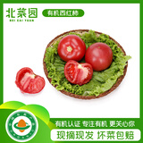 北菜园有机西红柿番茄约350g有机新鲜蔬菜【进店多样加购】沙瓤多汁番茄