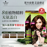 施华蔻（Schwarzkopf）怡然染发霜4.65巧克力金棕*2 染发剂植物染发膏自己染盖白