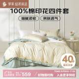 罗莱家纺 全棉四件套床笠款纯棉床上用品床单被套220*250