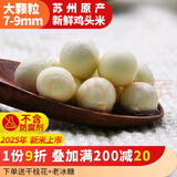南塘村大颗粒现剥鸡头米新鲜2025芡实8mm苏州非手剥干货 大颗粒100g*20包 （配料0添加）