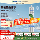 爱惠浦（Everpure） EF-900P 净水机滤芯