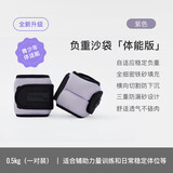 Keep 负重沙袋绑腿绑手腕跑步训练装备学生中考训练 紫色0.5kg*2
