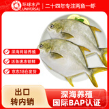 环球水产冷冻南海金鲳鱼2斤/2条 生鲜鱼类 火锅 深海鱼 海鲜水产 家庭聚餐