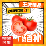 正宗水果番茄沙瓤西红柿农家自种新鲜自然熟生吃柿子生鲜早餐减肥 带箱2斤装单果100g+