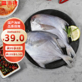富海锦 渤海银鲳鱼 450g 3条 平鱼 火锅烧烤食材 国产海鲜水产鱼类