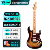 Tagima电吉他塔吉玛TG510 530 635单摇单单双男女初学者入门电吉他套装 TG530PROSB单单双【落日棕】39英寸