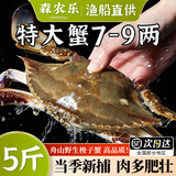 舟山梭子蟹鲜活特大野生大螃蟹新鲜冷冻海鲜水产海蟹飞蟹白蟹顺丰 7-9两/只【5斤净重 特大肥壮】
