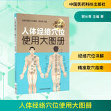 人体经络穴位使用大图册 彩色大字 北京中医药大学郭长青教授 中医养生 中医推拿按摩学书籍手法图解 人体穴位书籍 经络图  新华书店正版