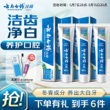 云南白药经典系列牙膏套装 护龈祛渍洁齿 亮白清新口气冬青香型165g*3